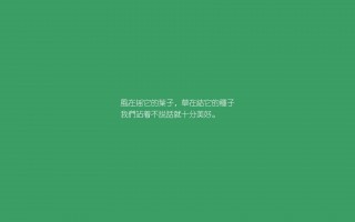 吉林省英语四六级报名费（四级报名费多少钱啊）