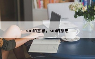 sm的意思，sm的意思