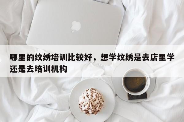 哪里的纹绣培训比较好，想学纹绣是去店里学还是去培训机构-第1张图片