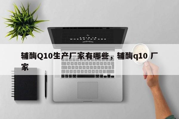 辅酶Q10生产厂家有哪些，辅酶q10 厂家-第1张图片