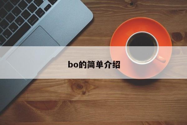 bo的简单介绍-第1张图片