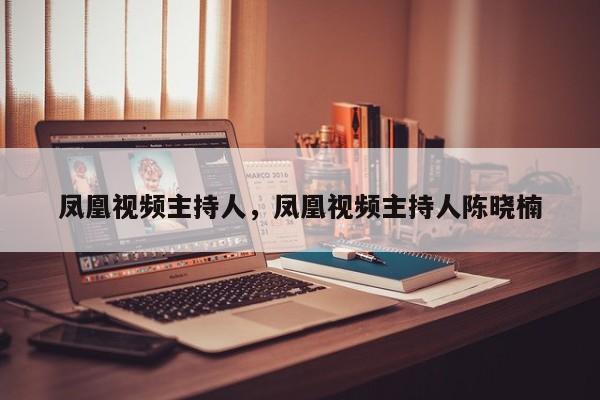 凤凰视频主持人，凤凰视频主持人陈晓楠-第1张图片